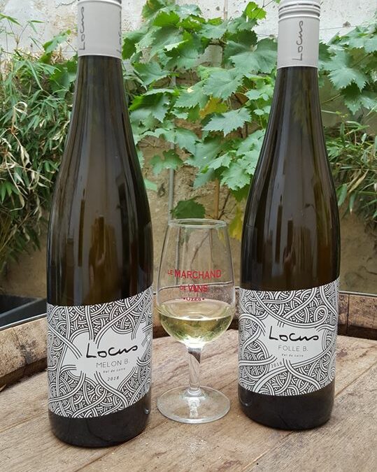 Locus. Folle Blanche et Melon de Bourgogne